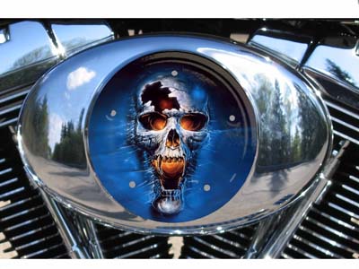 Custom Air Cleaner Cover - Blue Skull
