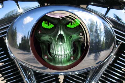 Custom Air Cleaner Cover - Green Eyes