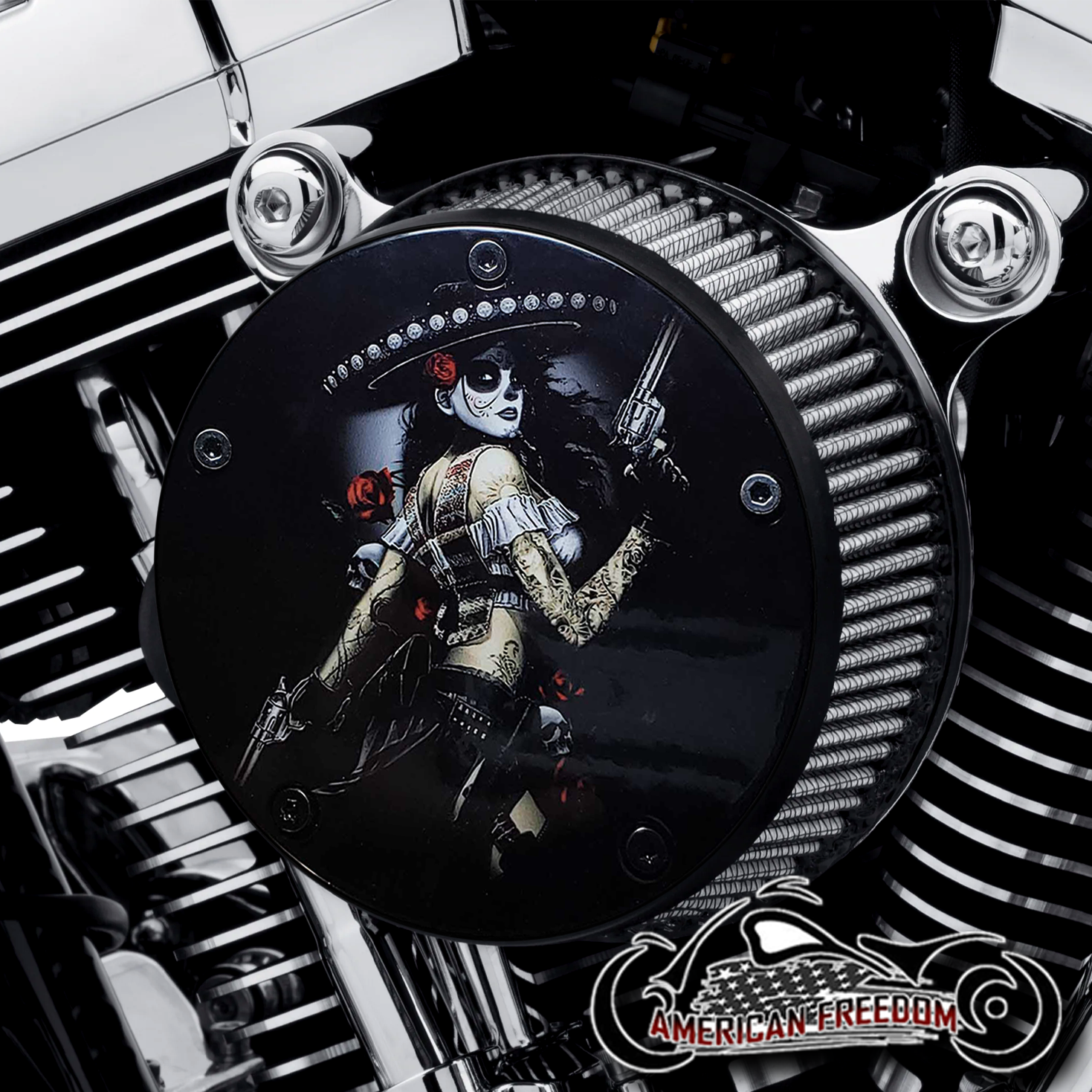 Harley Davidson High Flow & Arlen Ness Stage 1 Air cleaner cover