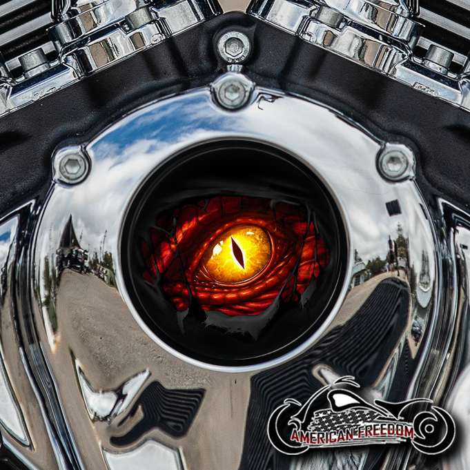 Indian Thunder Stroke Cam Insert - Dragon Eye