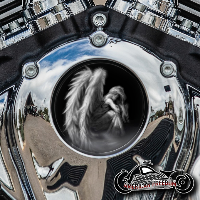 Indian Thunder Stroke Cam Insert - Faded Angel