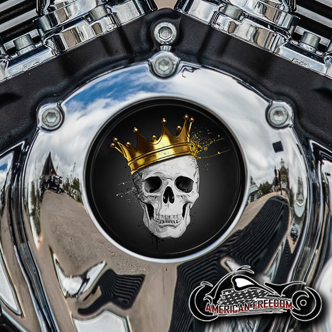 Indian Thunder Stroke Cam Insert - King Skull