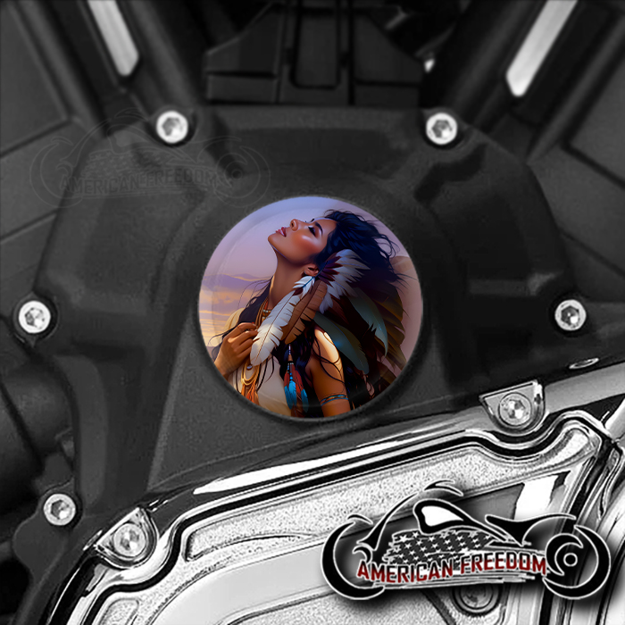 Indian Challenger Pursuit Water Pump Insert - Native Sunset