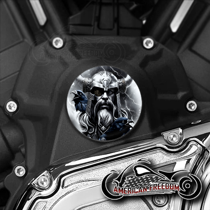 Indian Challenger Pursuit Water Pump Insert - Odin Huginn Muninn