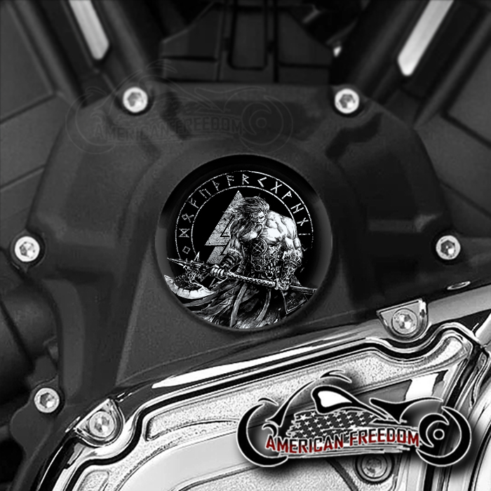 Indian Challenger Pursuit Water Pump Insert - Viking Valknut