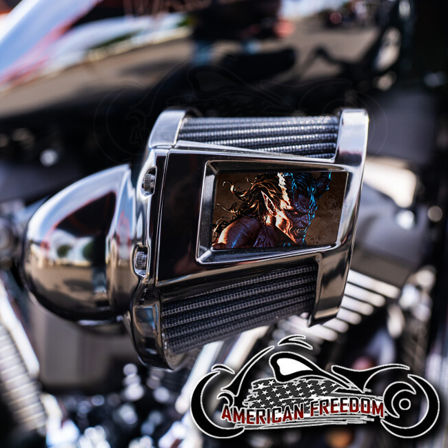Harley 2019-2024 Heavy Breather Insert - Angry Demon