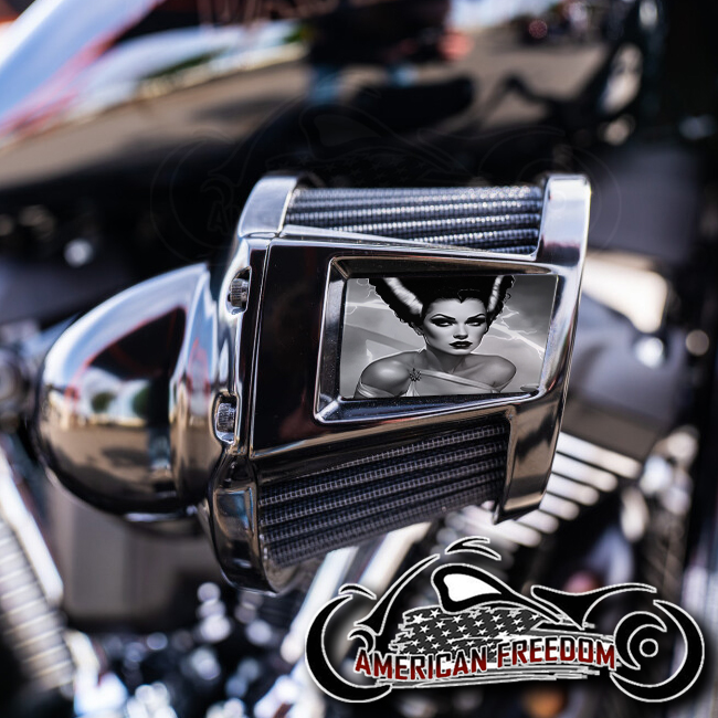Harley 2019-2024 Heavy Breather Insert - Bride of Frankenstein