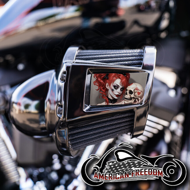 Harley 2019-2024 Heavy Breather Insert - Clown Hearts