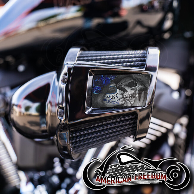 Harley 2019-2024 Heavy Breather Insert - Death Kiss Blue