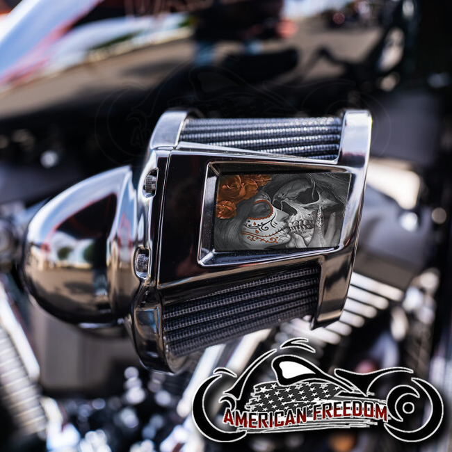 Harley 2019-2024 Heavy Breather Insert - Death Kiss Orange