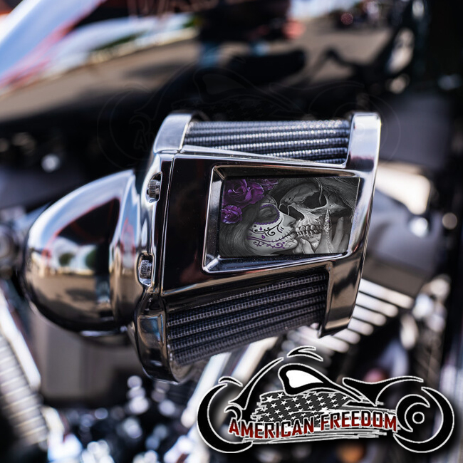 Harley 2019-2024 Heavy Breather Insert - Death Kiss Purple