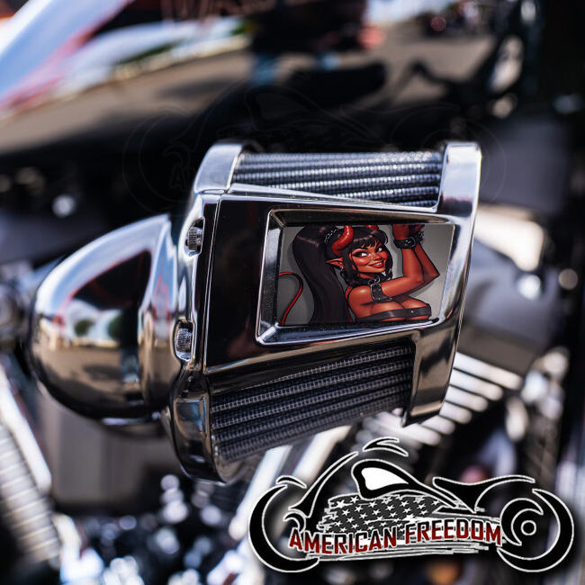 Harley 2019-2024 Heavy Breather Insert - Devil Girl