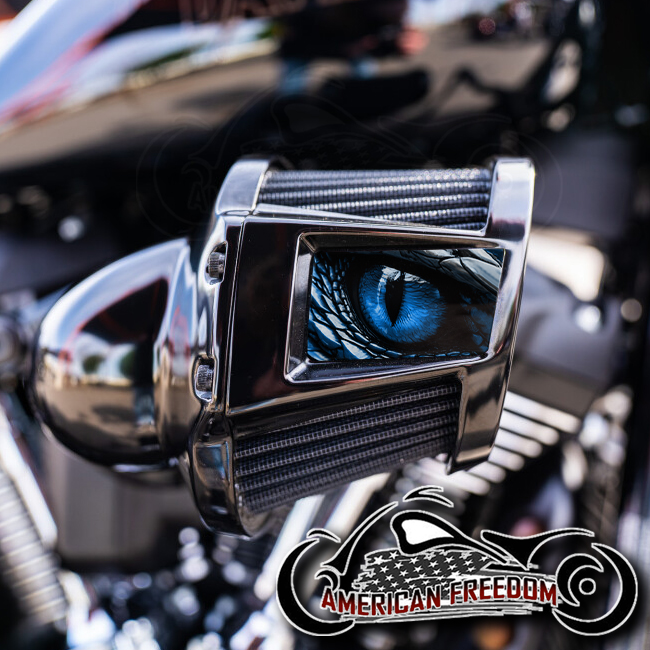 Harley 2019-2024 Heavy Breather Insert - Dragon Eye Blue