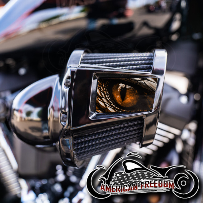 Harley 2019-2024 Heavy Breather Insert - Dragon Eye Orange