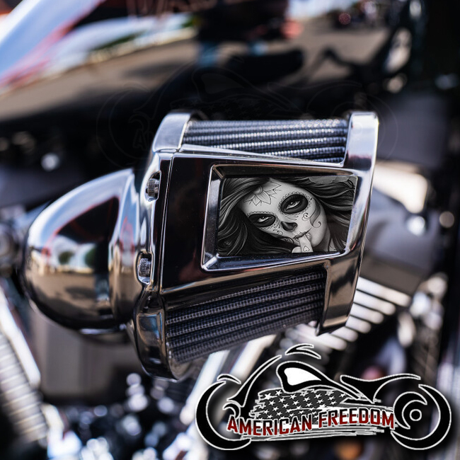 Harley 2019-2024 Heavy Breather Insert - DOTD Middle Finger Gal