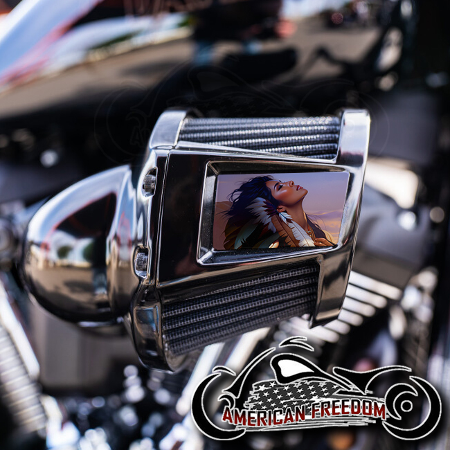 Harley 2019-2024 Heavy Breather Insert - Native Sunset