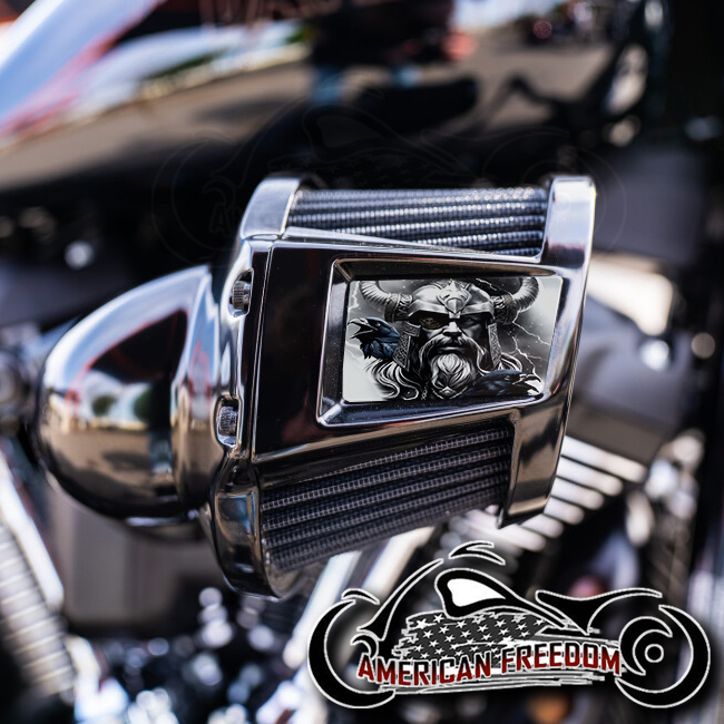 Harley 2019-2024 Heavy Breather Insert - Odin Huginn Muninn