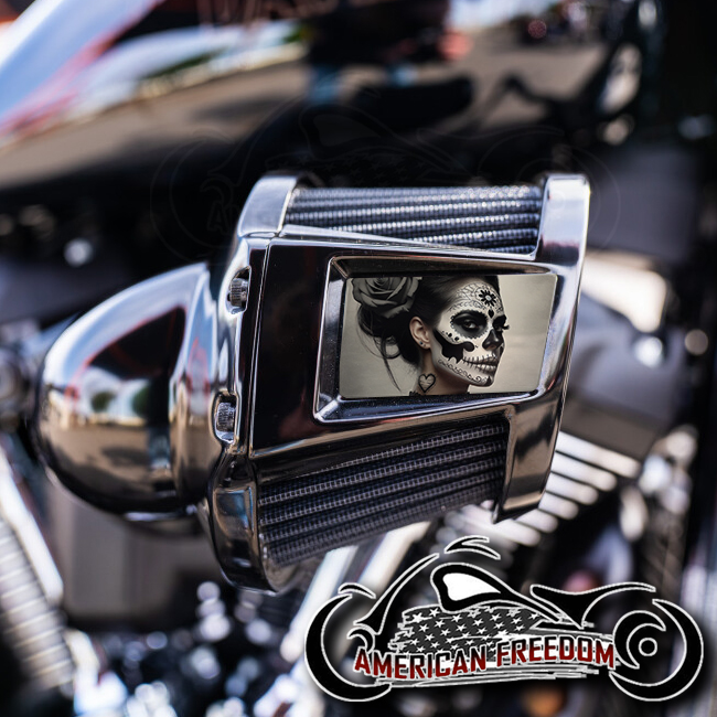 Harley 2019-2024 Heavy Breather Insert - Black Heart Sugar Skull