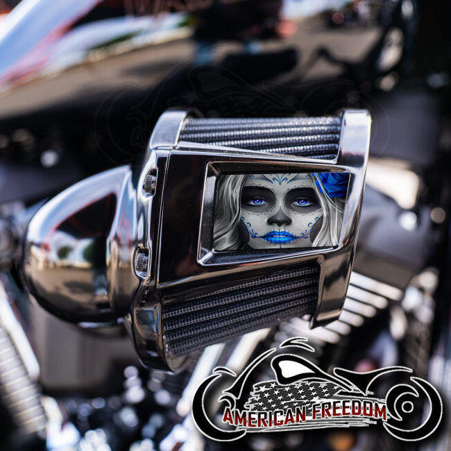 Harley 2019-2024 Heavy Breather Insert - Candy Sugar Skull Blue