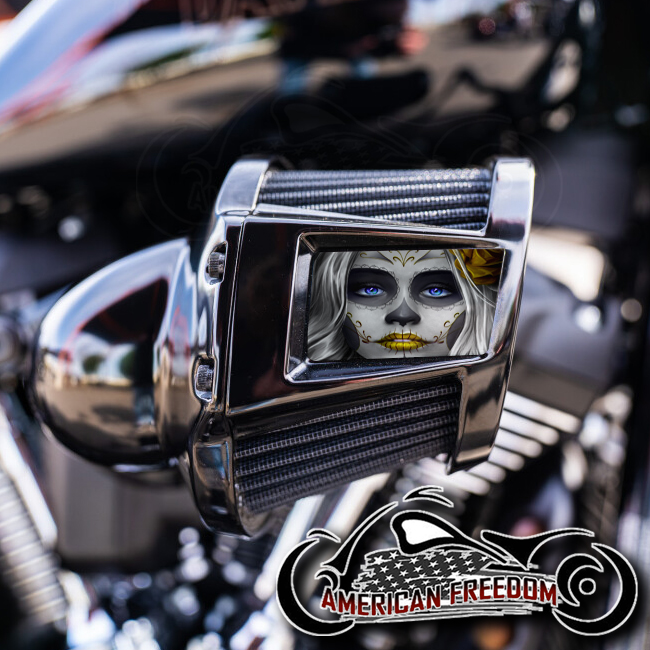 Harley 2019-2024 Heavy Breather Insert - Yellow