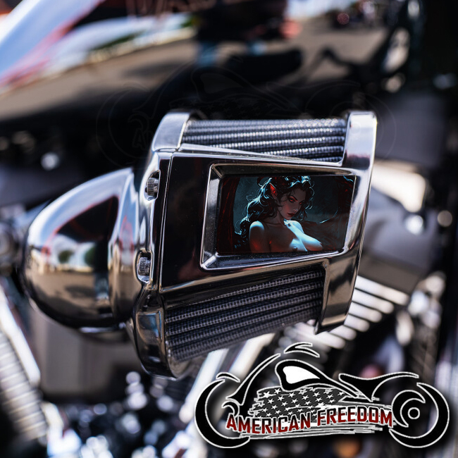 Harley 2019-2024 Heavy Breather Insert - Topless Succubus