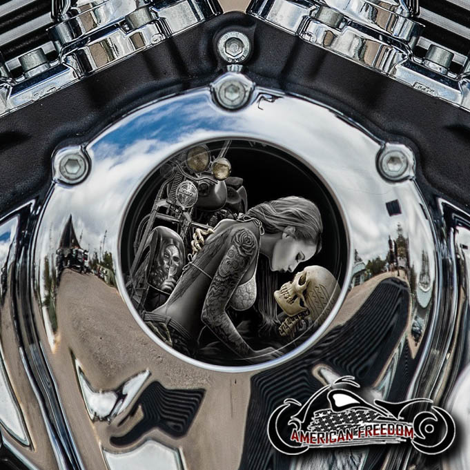Indian Thunder Stroke Cam Insert - Bikers Kiss