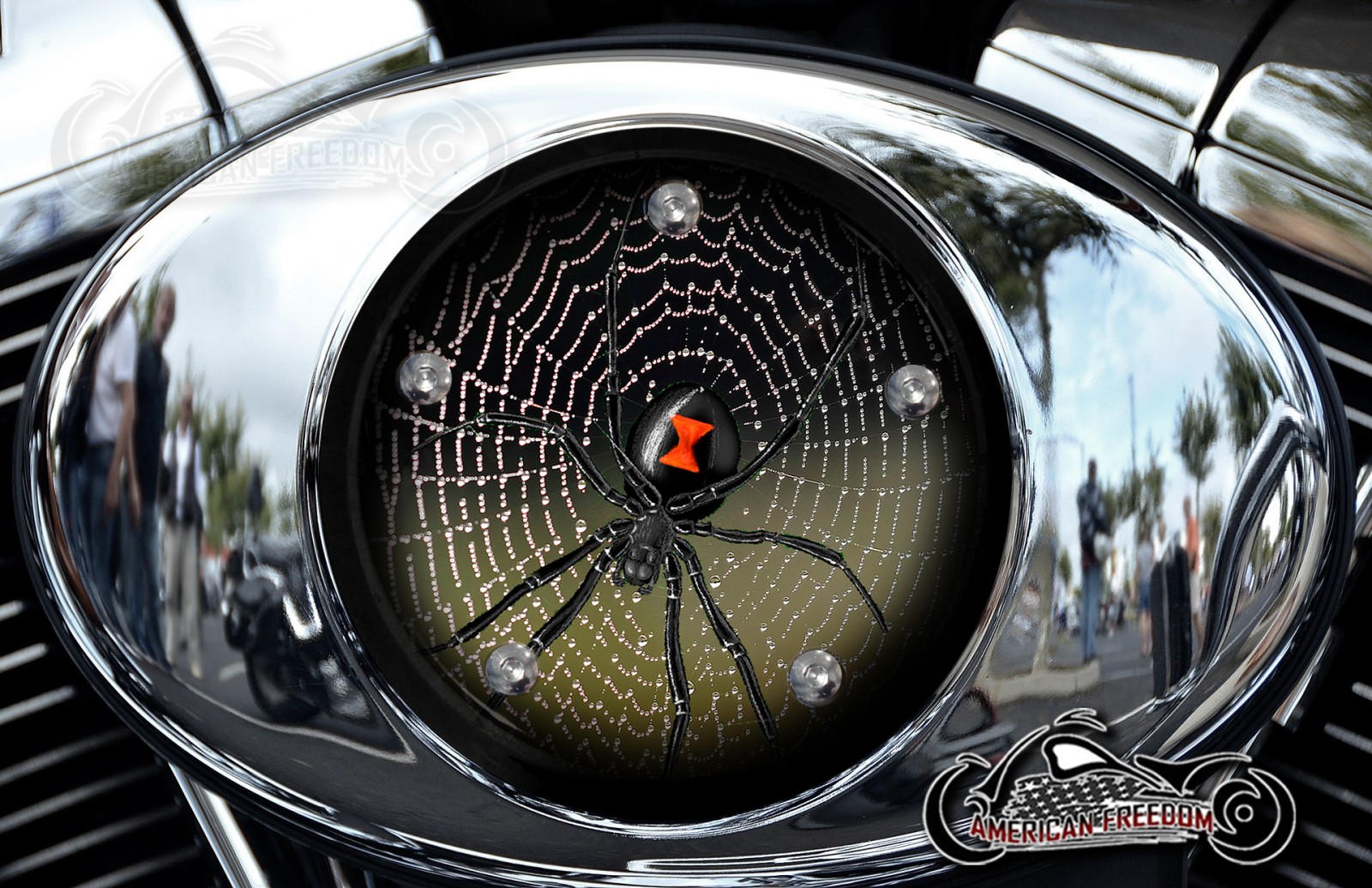 Custom Air Cleaner Cover - Spider on web w/ dew